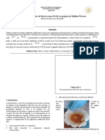 Análisis Gravimétrico de Hierro Como Fe2O3 en Grajeas de Sulfato Ferroso