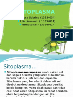 sitoplasmma ppt
