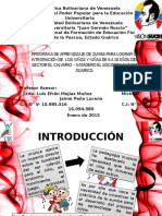 Proyecto Aplicacion de Zumba