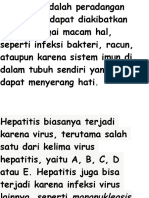 Hepatitis Adalah Peradangan Dalam Hati Dapat Diakibatkan Oleh Berbagai Macam Hal