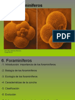 Foraminiferos