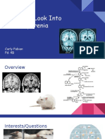 A Closer Look Into Schizophrenia 1