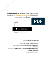 Cbo Tesis Doctoral PDF