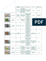 Especias y Condimentos