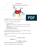 08 Respiration Biology Notes IGCSE 2014