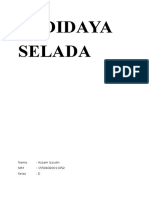 Budidaya Selada