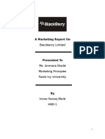 Marketing Report on Blackberry's Segmentation, Targeting and Positioning Strategy