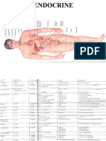 Endocrine.ppt1