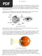 ARP - Como Funciona o Olho