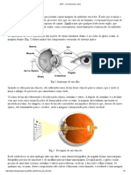 Como funciona o olho: estruturas e processos visuais