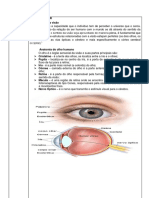 Manual de Orientacao Triagem de Acuidade Visual