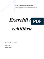 231820441 Exercitii de Echilibru 1 2