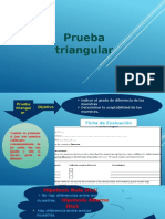 Prueba Triangular Exposicion