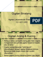 Gigitan Binatang