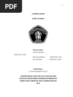 Download Makalah Acne Vulgaris by Mirzia Dwi R SN293653823 doc pdf