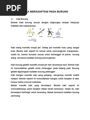 Adaptasi Burung