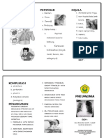 Leaflet Pneumonia