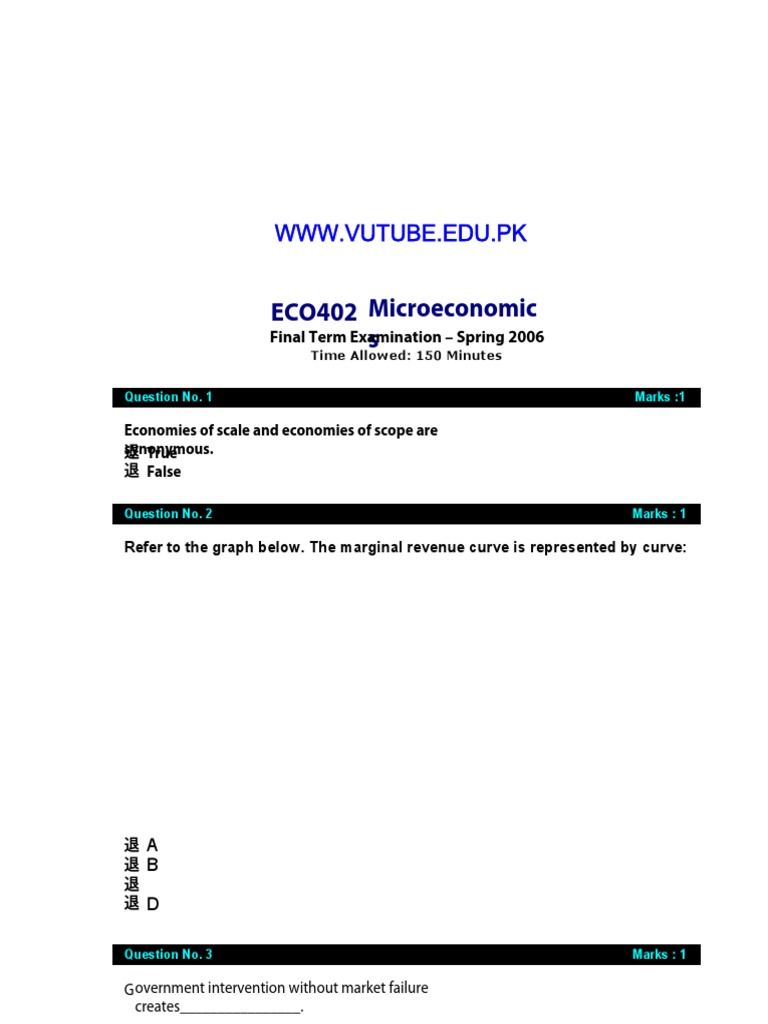 term paper of microeconomics