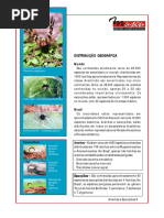 Aracnideos - Distribuicao Geografica