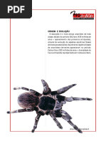 Aracnideos - Origem e Evolocao