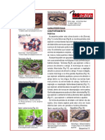Características e hábitos de serpentes