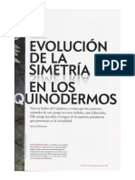 Simetria de Los Equinodermos Samuel Zamora