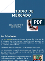 Ejemplo de Un Estudio de Mercado