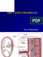 Obat Pada Kehamilan Dan Laktasi