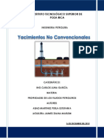  Yacimientos No Convencionales 