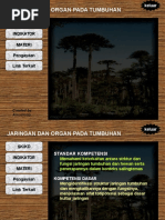 Download Jaringan Tumbuhanppt by Afrilia Dwi Kisworini SN293706213 doc pdf