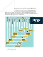 Program Diklat 2