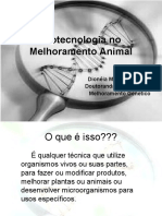 Biotecnologia No Melhoramento Animal