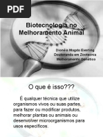 Biotecnologia No Melhoramento Animal
