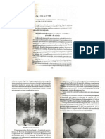 8.explorarea_radiologica_a_rinichilor_si_cailor_de_excretie.pdf