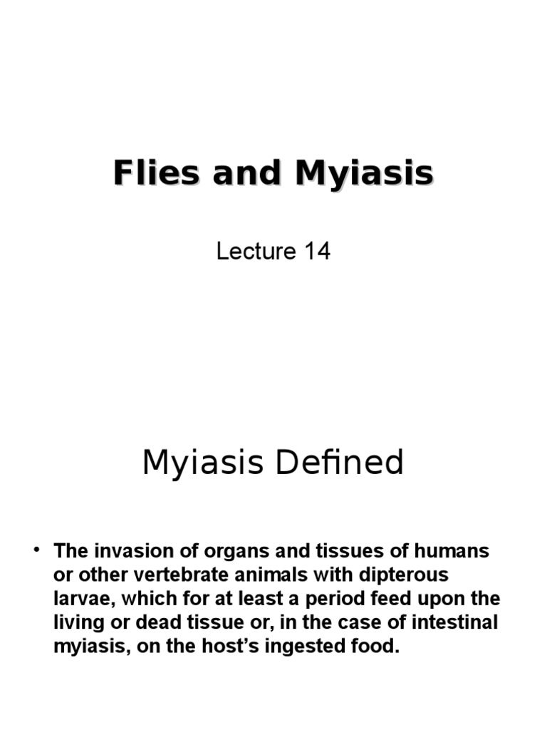 Understanding Myiasis and Its Causes | PDF | Fly | Insects