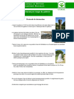 Palmier PDF