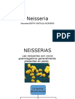 Neisseria