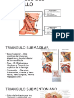 Triangulos Del Cuello