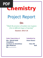 Chemistry: Project Report