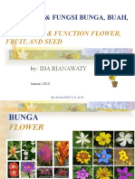 Struktur & Fungsi Bunga, Buah, Dan Biji: Structure & Function Flower, Fruit, and Seed