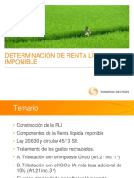 Presentacion-RLI.pdf