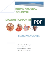 SENOS PARANASALES - Monografico