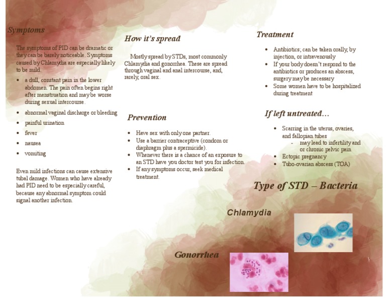 Chlamydia Symptoms and Treatment Guide | PDF