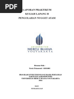 Download Laporan Praktikum Nugget Kl 2 by Indah Damayanti SN293831138 doc pdf