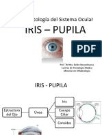 Iris - Pupila 
