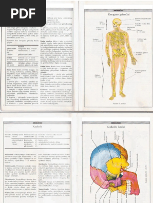 Rus porno aktrisasi Tanya xola