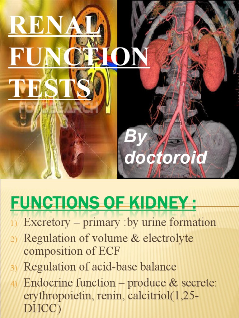 Comprehensive Renal Function Tests | PDF | Kidney | Creatinine