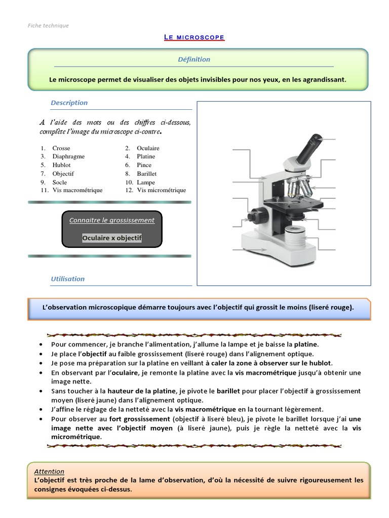 Fiche Microscope | PDF