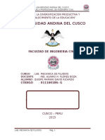 ENSAYO-LAB-FLUIDOS-NRO2.docx