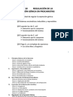 Tema 18 Regulación de La Expresión Génica en Procariotas(4)